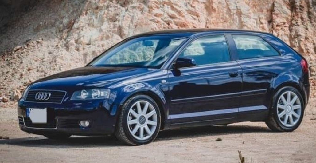 Audi a3 8p 1.9 tdi