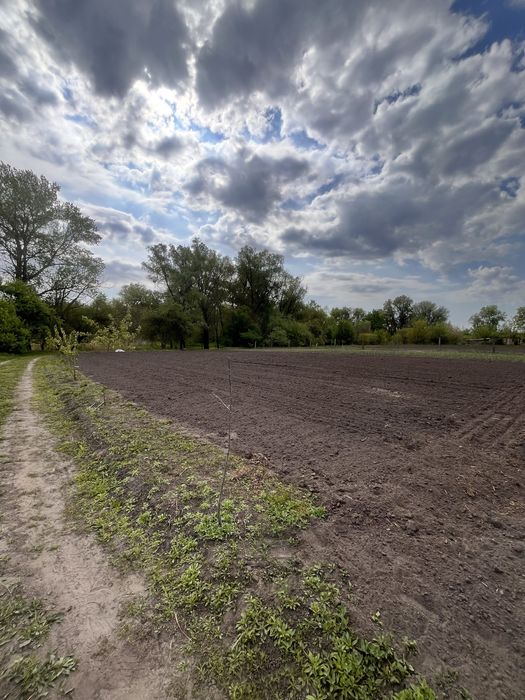 Торг‼️Будинок з землею 67.5сот.+ власне Озеро до р.Любич 10хв‼️