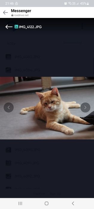 Niewidomy rudzielec, znajdzie kochający dom?