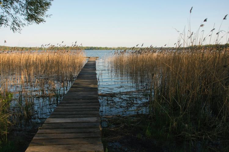 MORYŃ - działka nad jeziorem Morzycko z linią brzegową - MAŁE MAZURY