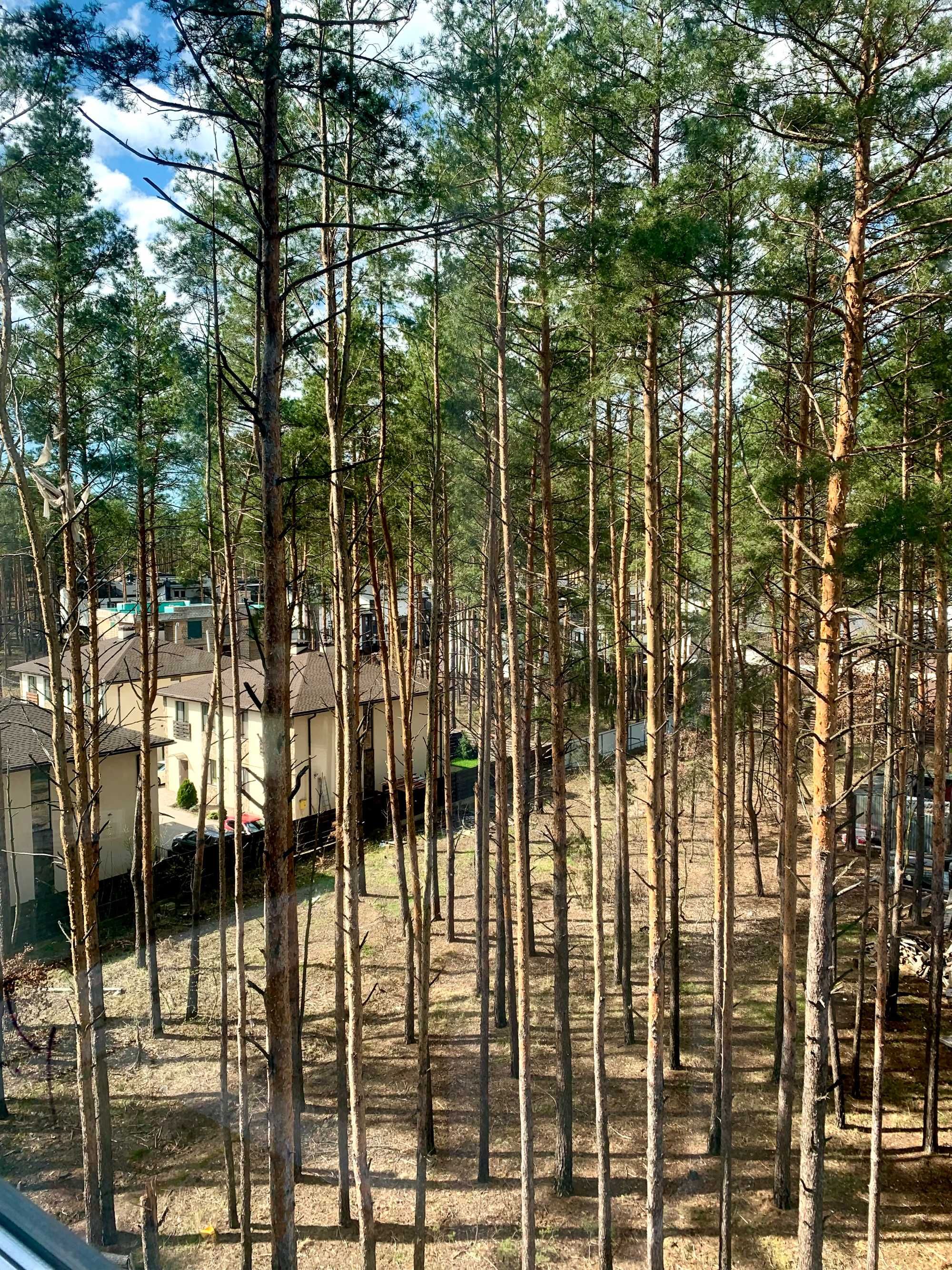 Продається 1-кімнатна квартира з видом на природу в Гостомелі