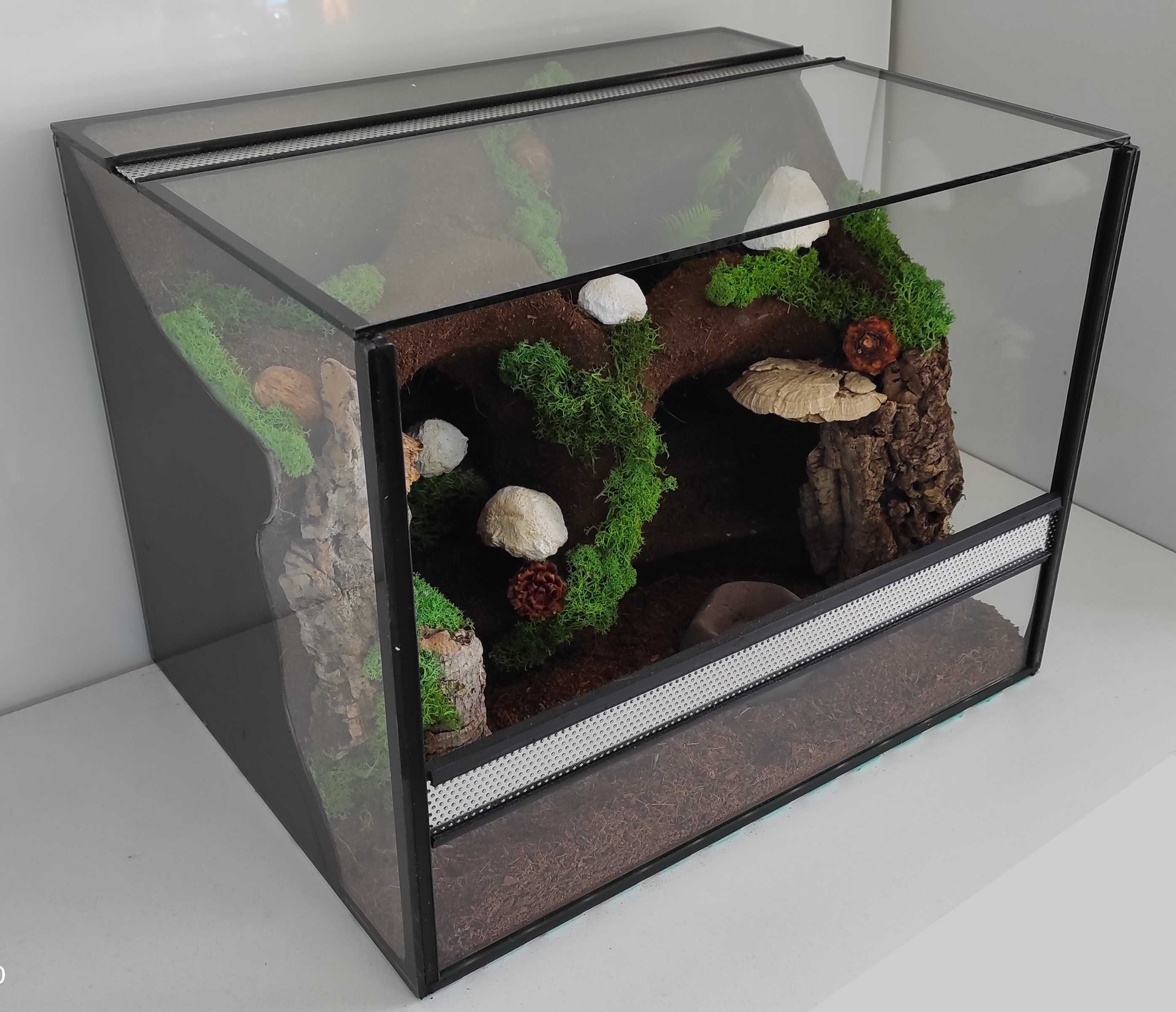 Terrarium dla pająka albopilosium nicaragua, TW09G, AquaWaves