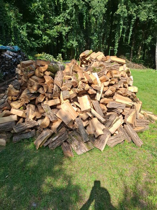 Drewno świerk wierzba