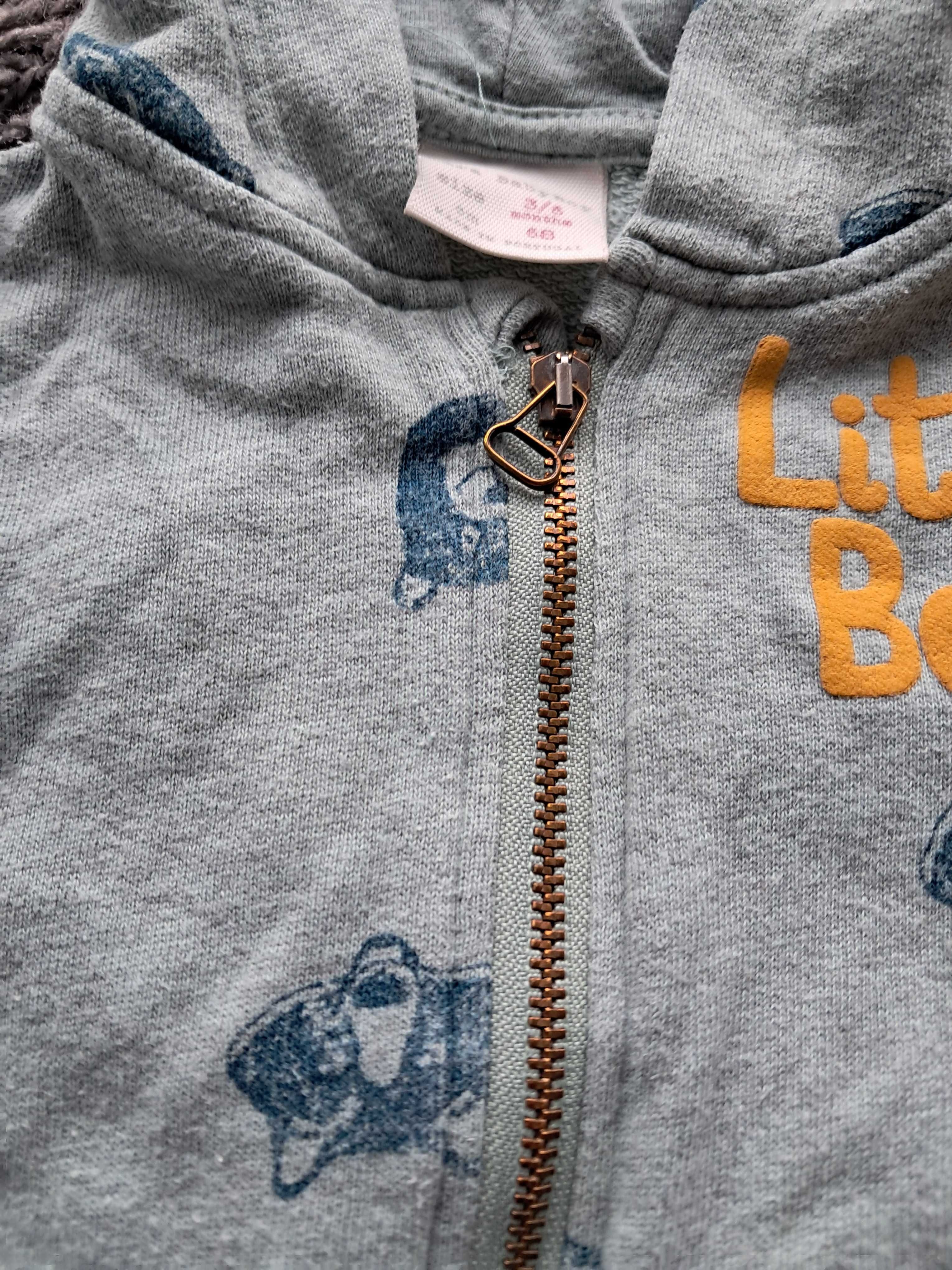 Bluza niemowlęca chłopięca zwierzątka Zara Baby