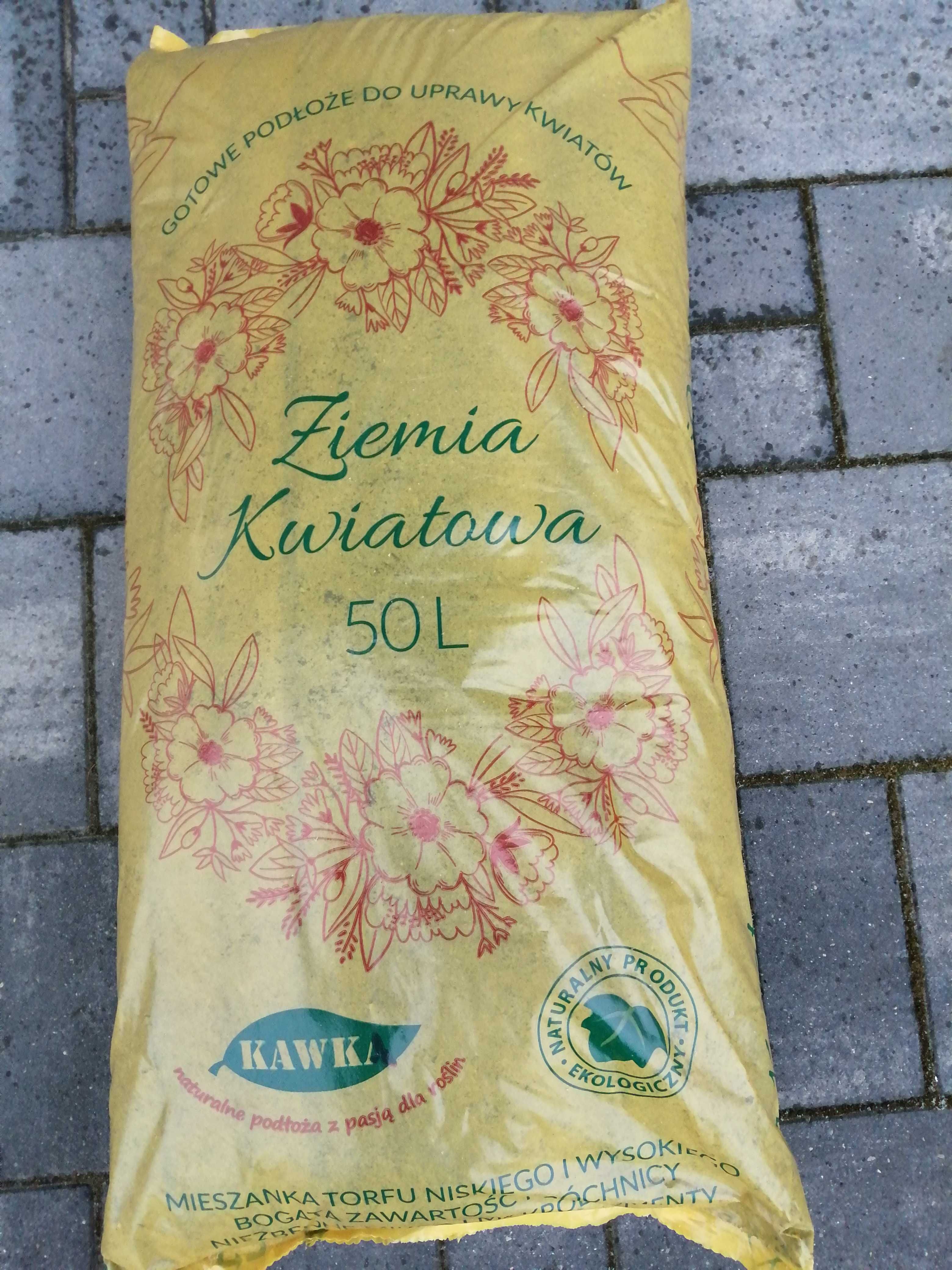 Kora sosnową średnia