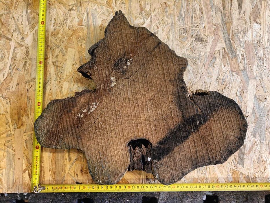 plastry plaster drewna akacja