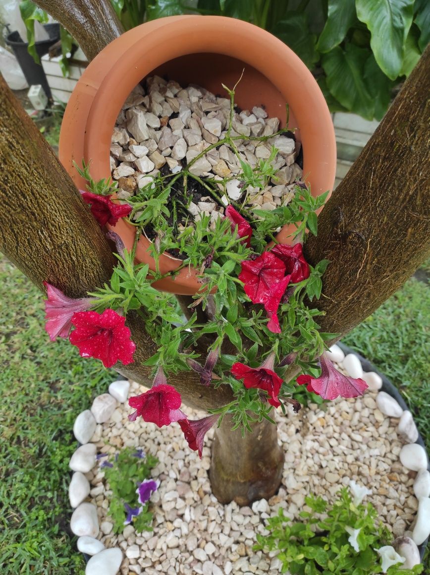 Manutenção de jardins
