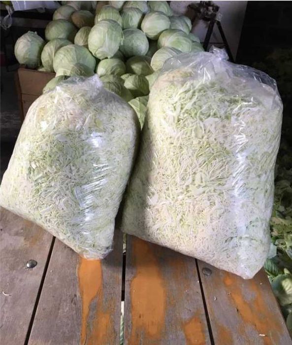 Kapusta szatkowana do kiszenia - świeża, prosto od rolnika