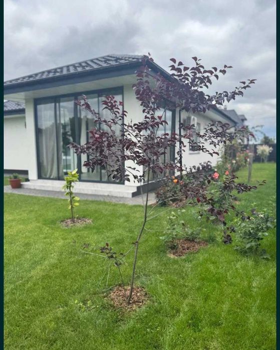 Будинок в Станишівці