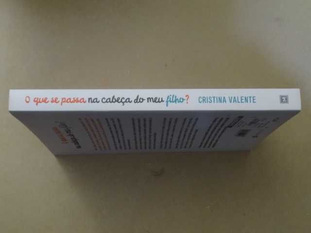 O que se Passa na Cabeça do Meu Filho? de Cristina Valente