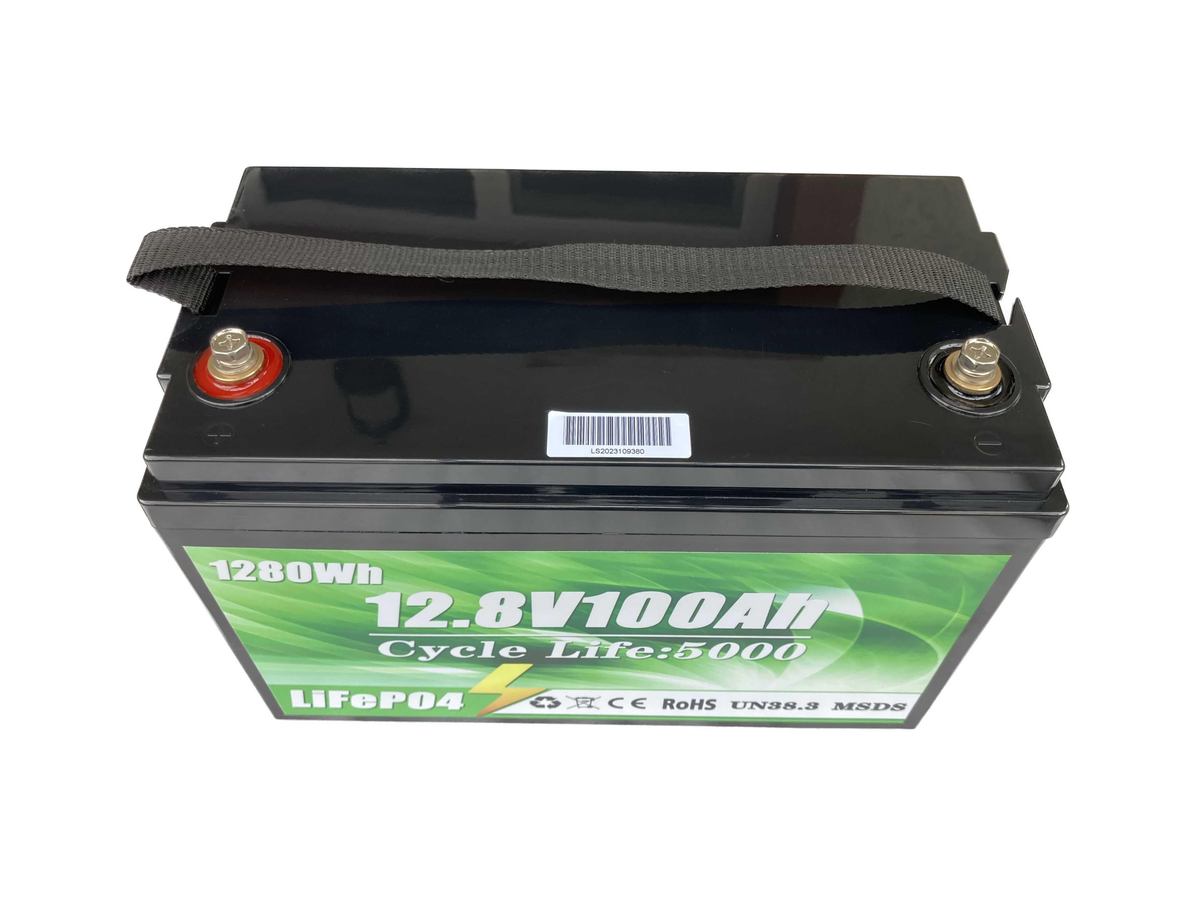 Акумуляторна батарея LiFePO4 12V 100AH