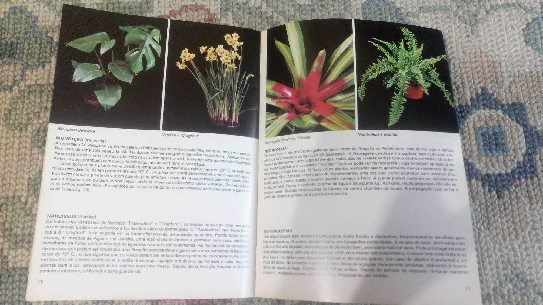 Livro Plantas de Interior Rob Herwig Habita