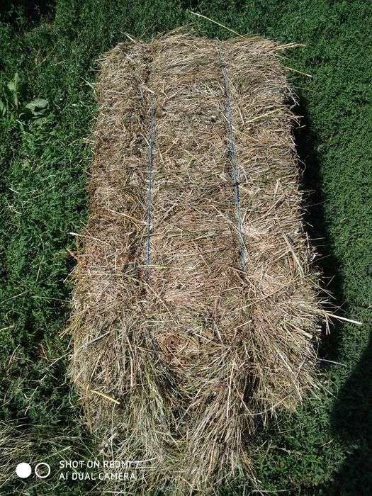 Продам сено в тюках ,разнотравье
