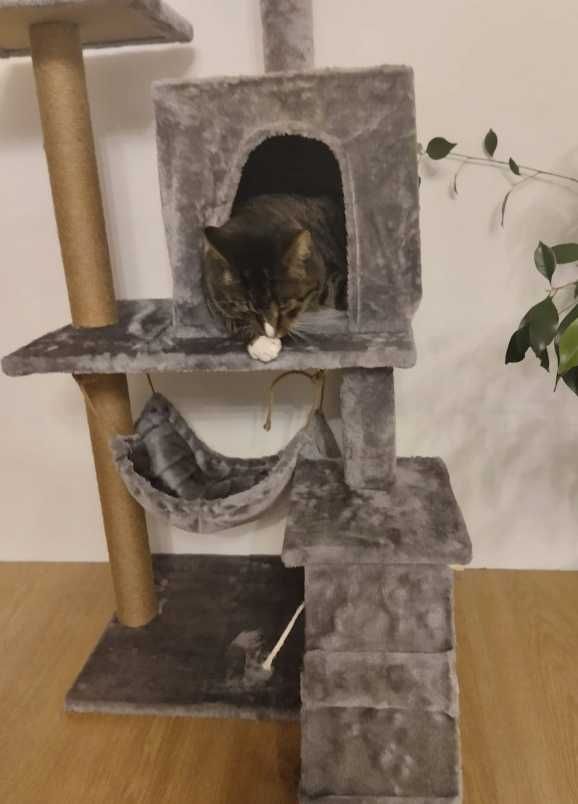 Drapak budka dla kota wieża legowisko domek sizal 5 poziomów