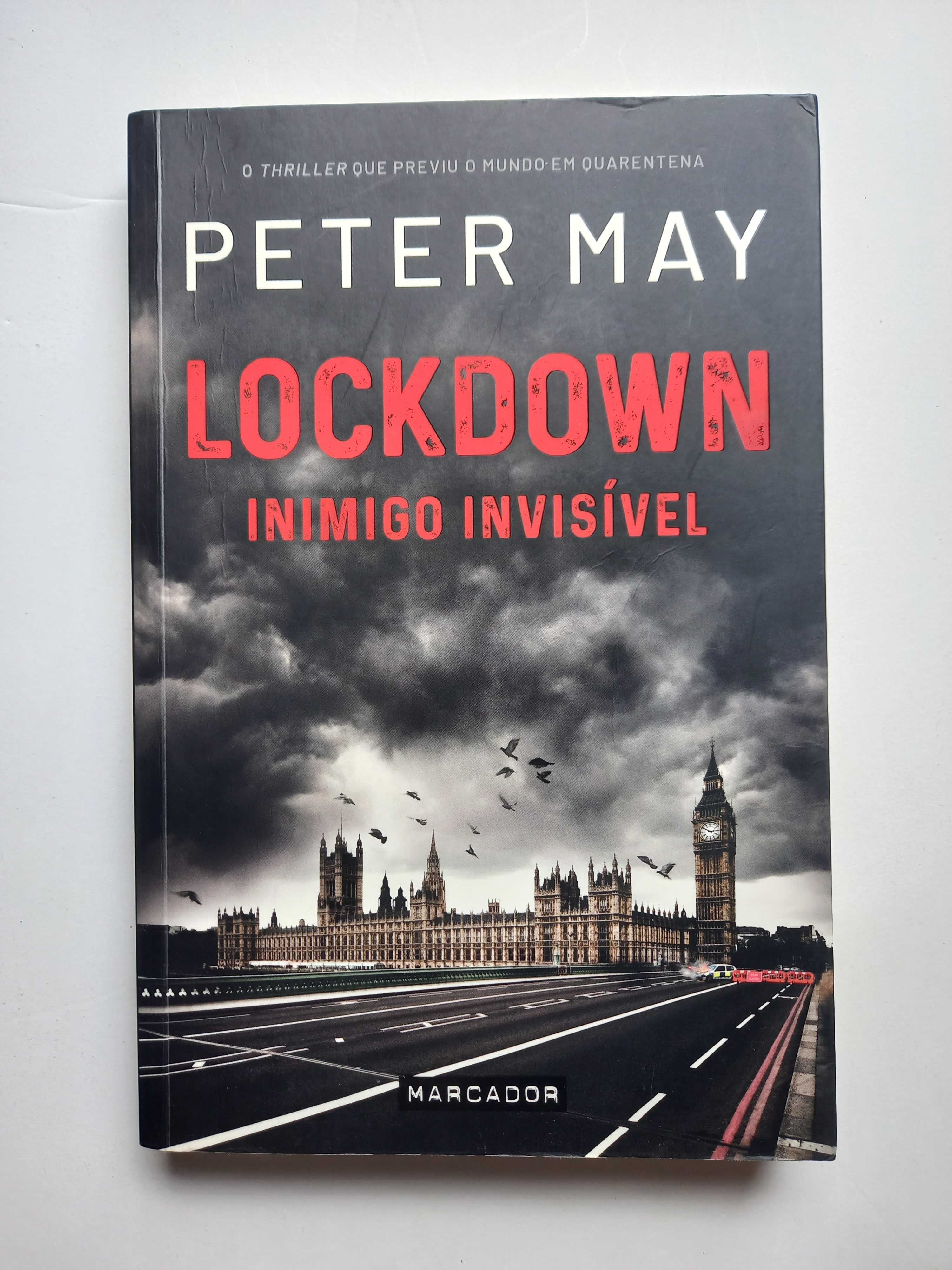 Lockdown - Peter May