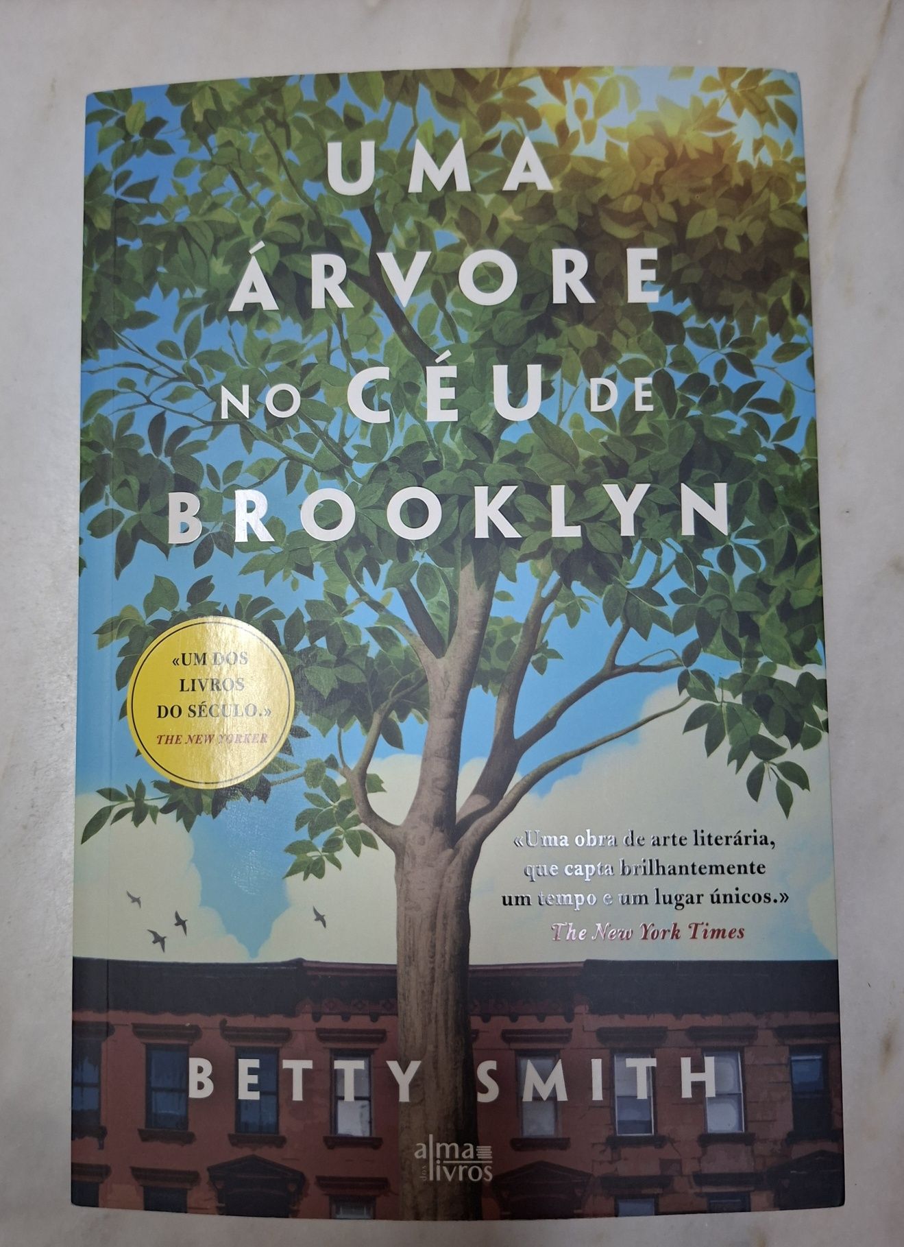 Uma Árvore no Céu de Brooklyn