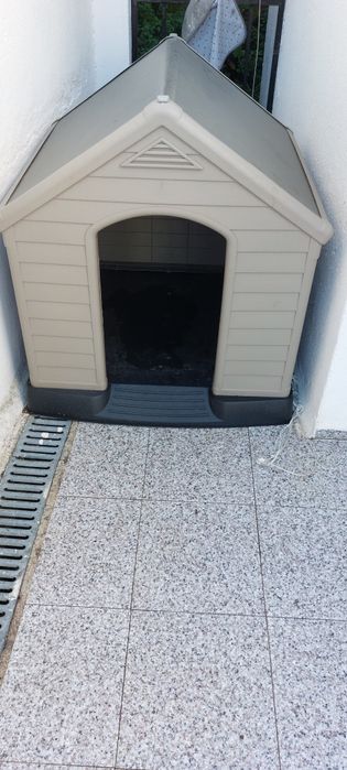 Casota para cão em bom estado