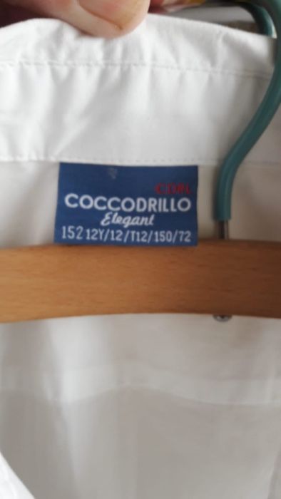 koszule Coccodrillo rozm. 128, 140, 152 cm