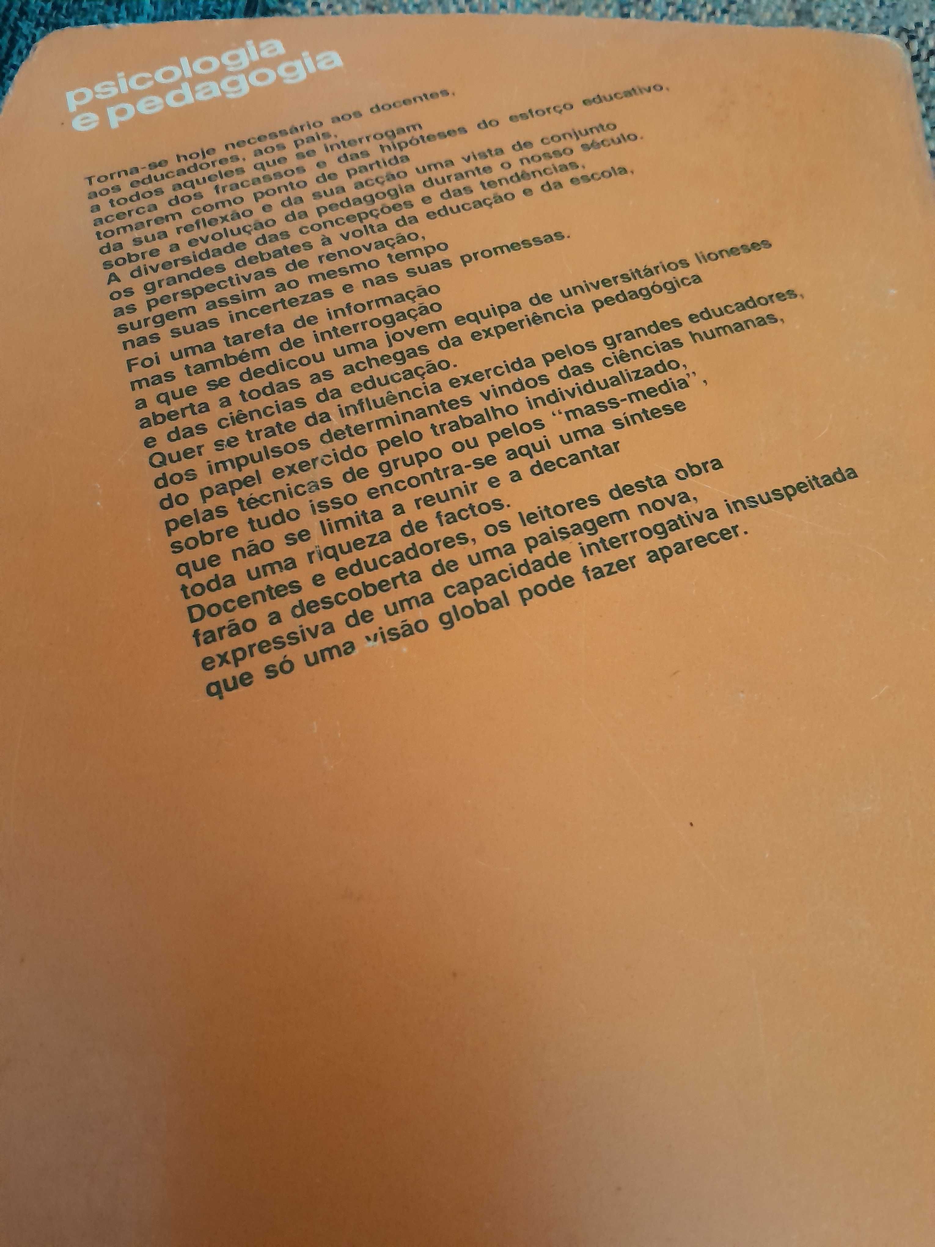 A pedagogia no seculo XX