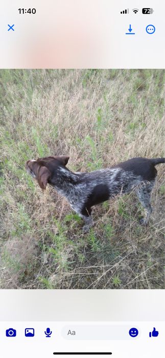 Oddam wyzla niemieckiego