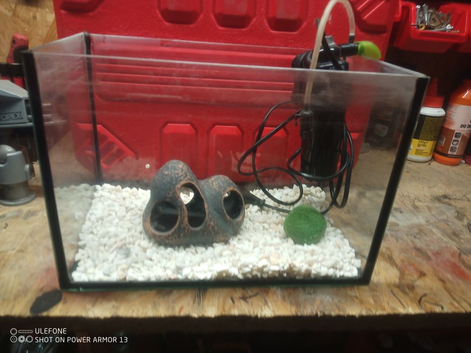 Akwarium + akcesoria 5 litrów