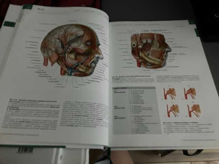 Sprzedam Atlas Anatomii Człowieka -Sobotta-Wyd.IV-3tomy