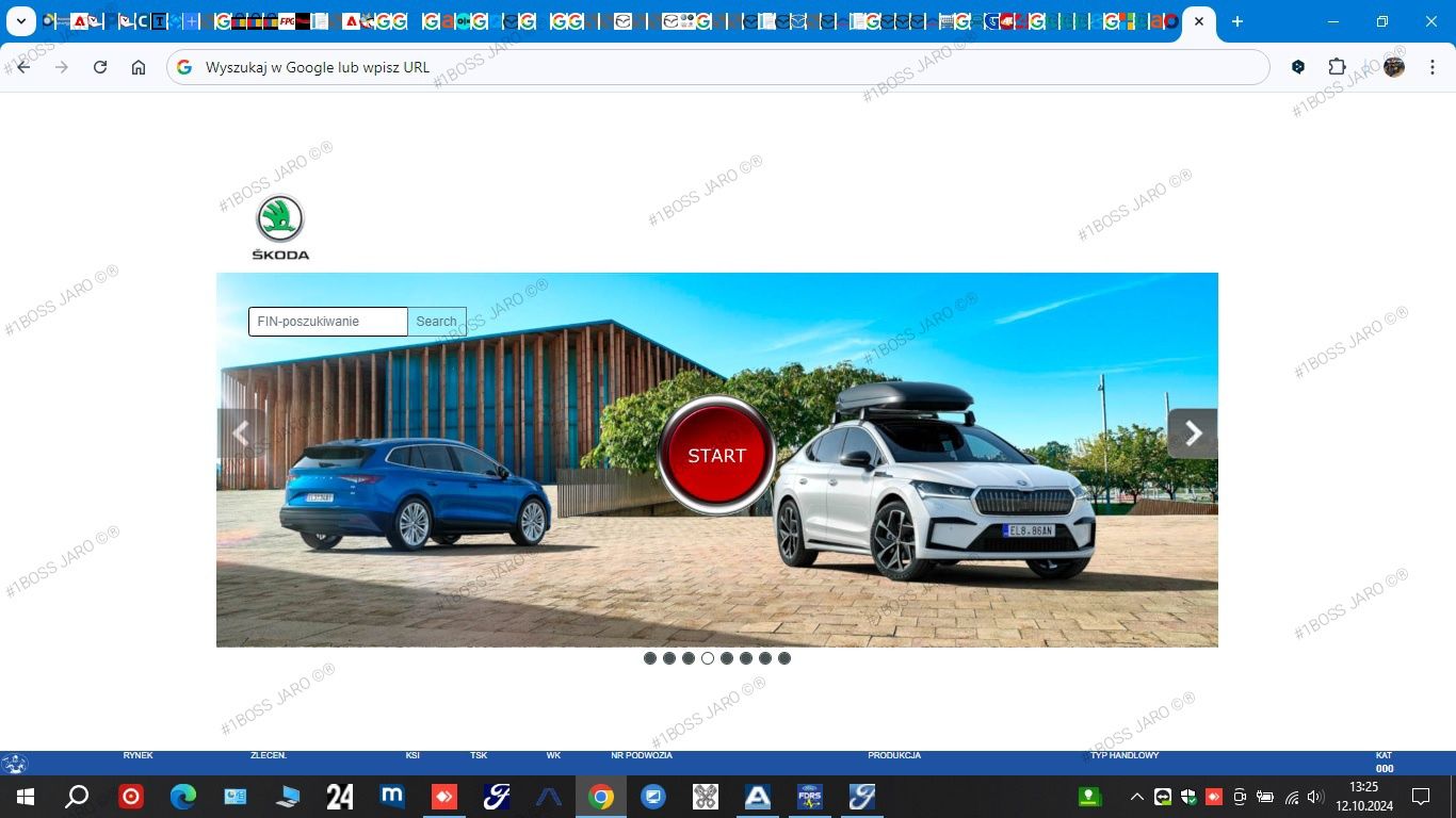 ONLINE Etka erWin Elsa VAG dostęp 365 dni