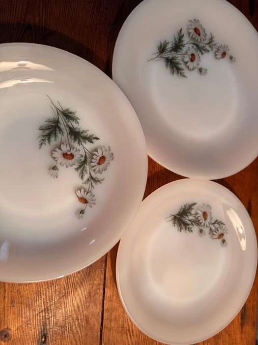 Vintage Serviço Arcopal Malmequeres