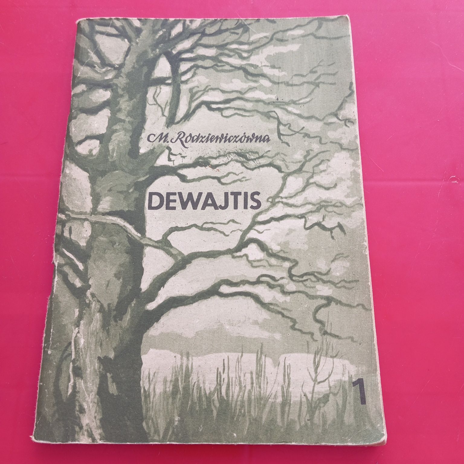 Dewajtis, M. Radziwiczówna, zaszyt 1, stan bdb