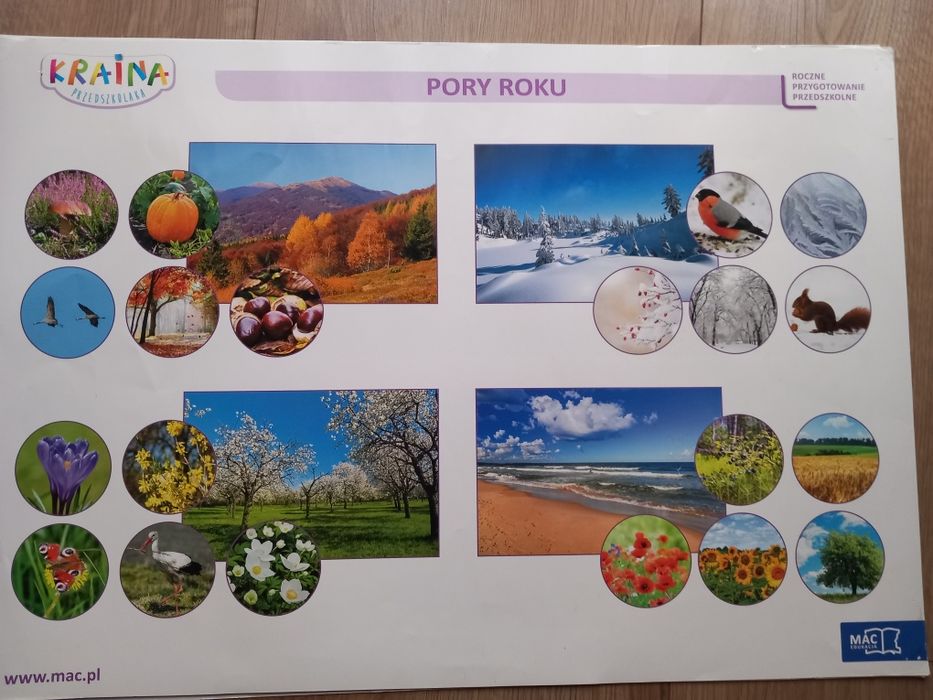 Kraina przedszkolaka Tablice demonstracyjne z alfabetem dla 6-latków.