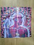 Flaga Tool Lateralus