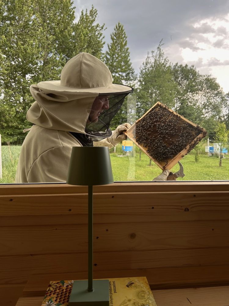Rodzina pszczela na 10 ramkach – młoda matka – 500 zł – Pasieka Adama