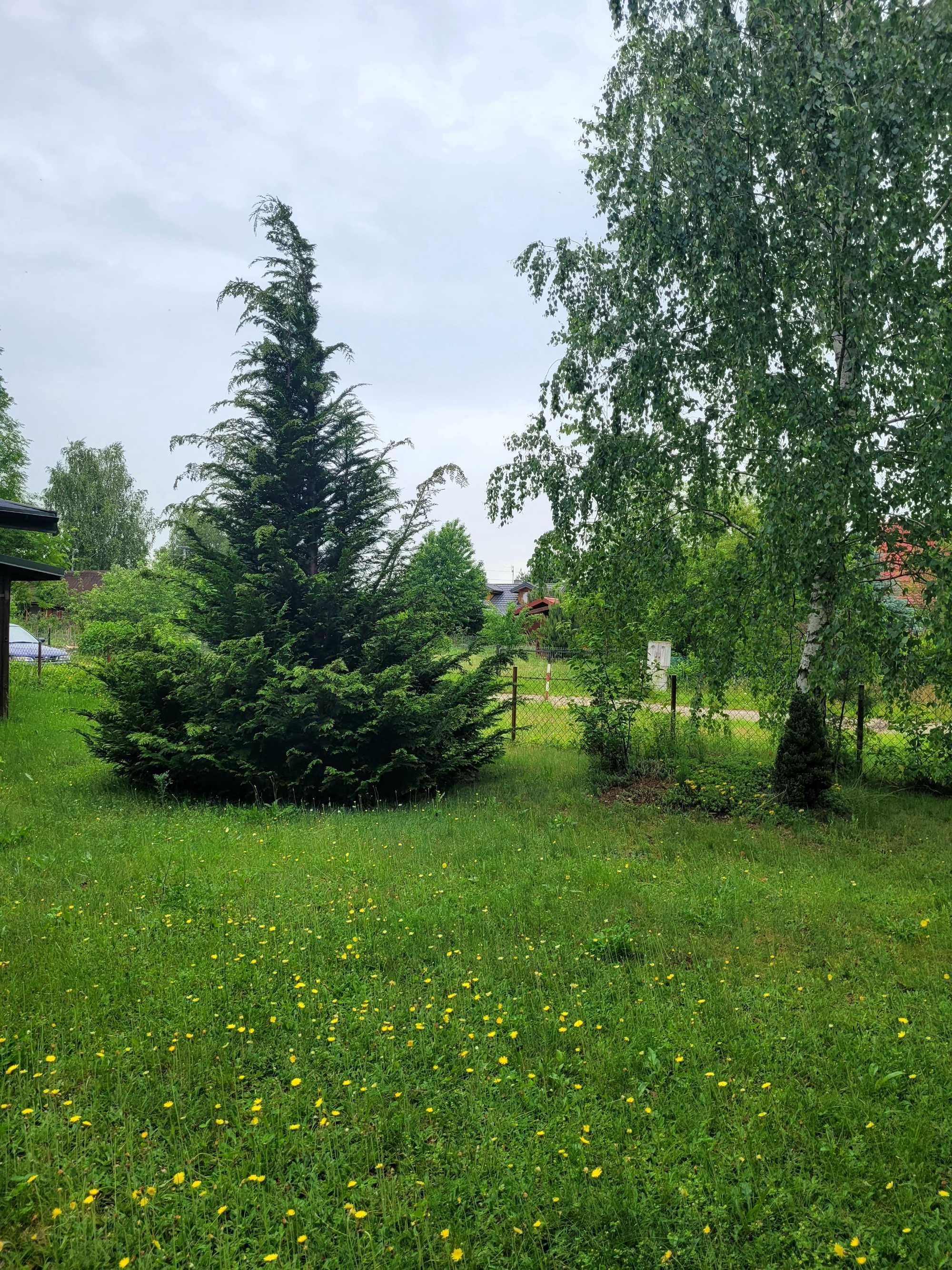 Sprzedam działkę nad Zalewem Zegrzyńskim