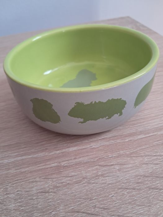 Miska ceramiczna dla świnki morskiej