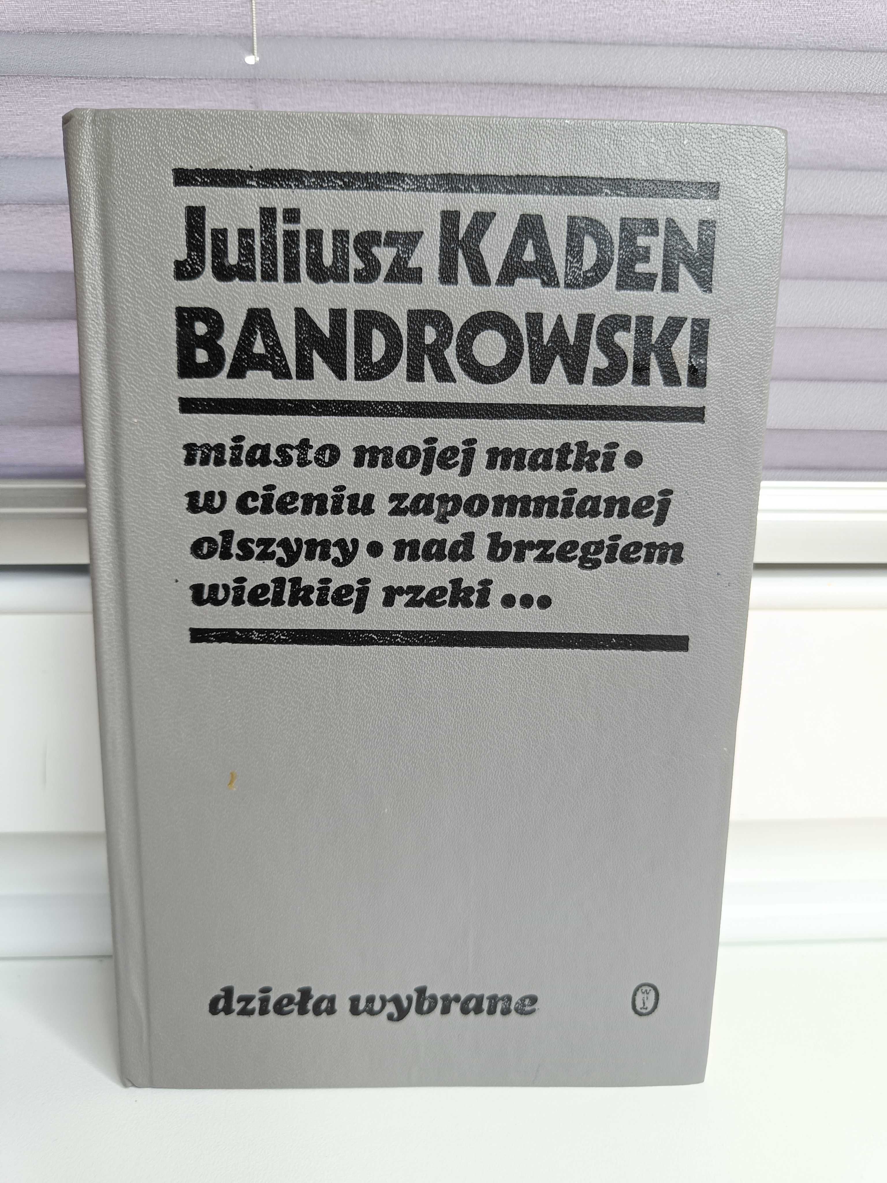 Juliusz Kaden-Bandrowski "Miasto mojej matki i inne utwory"