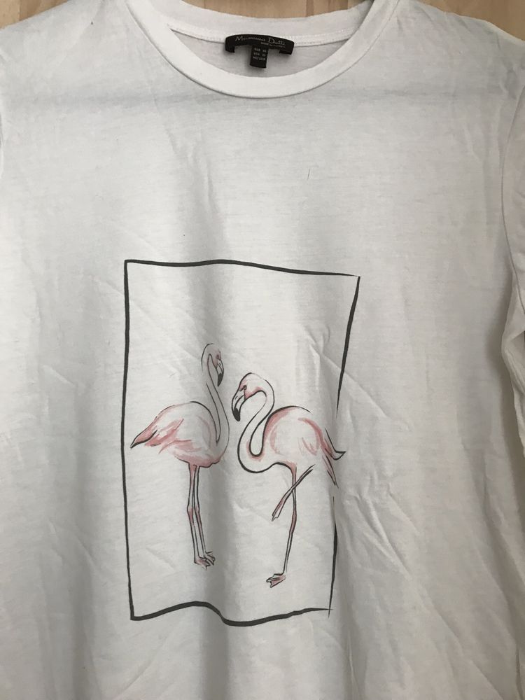 Koszulka Massimo Dutti