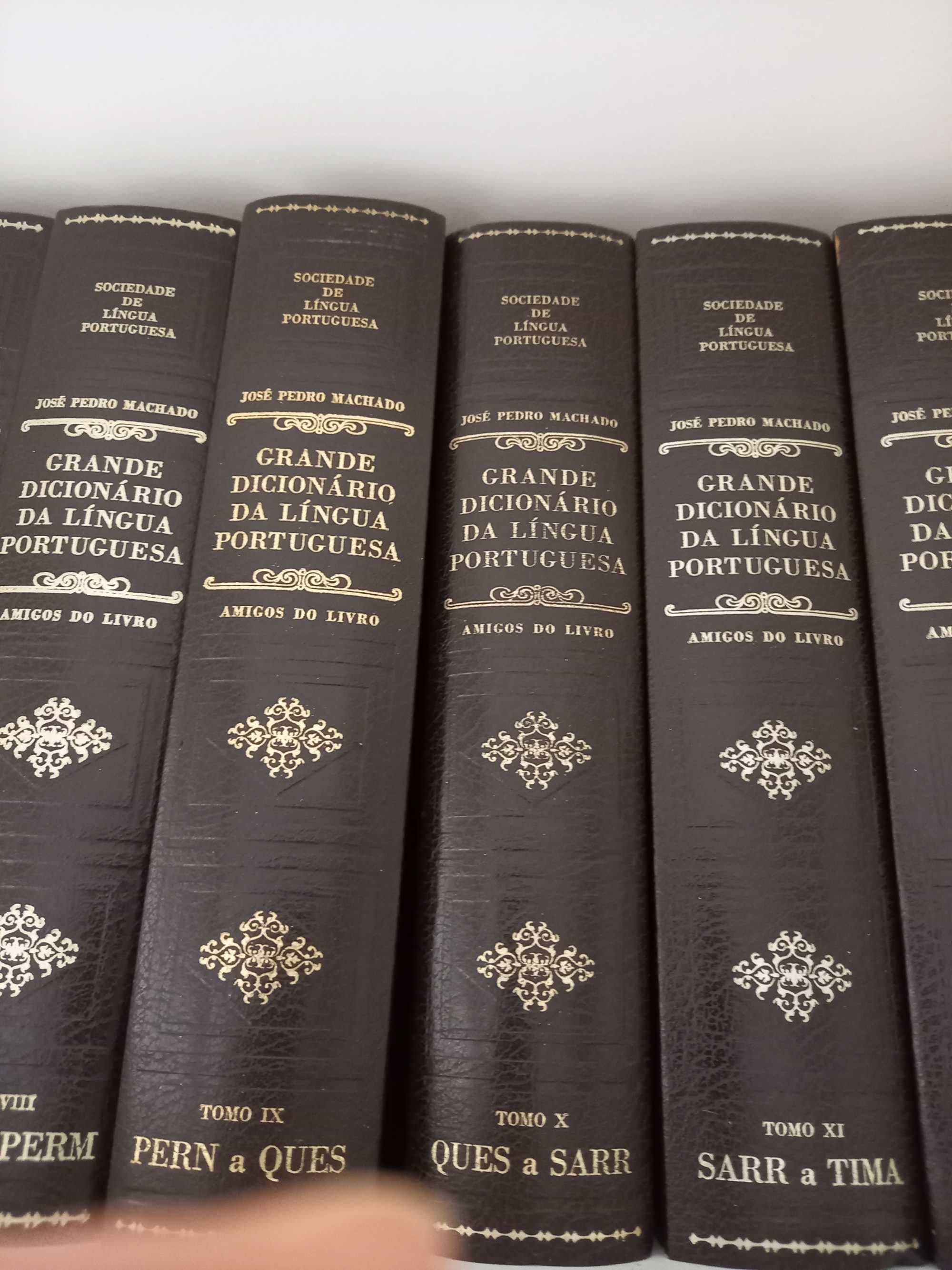 Dicionário   Portugues 12 volumes