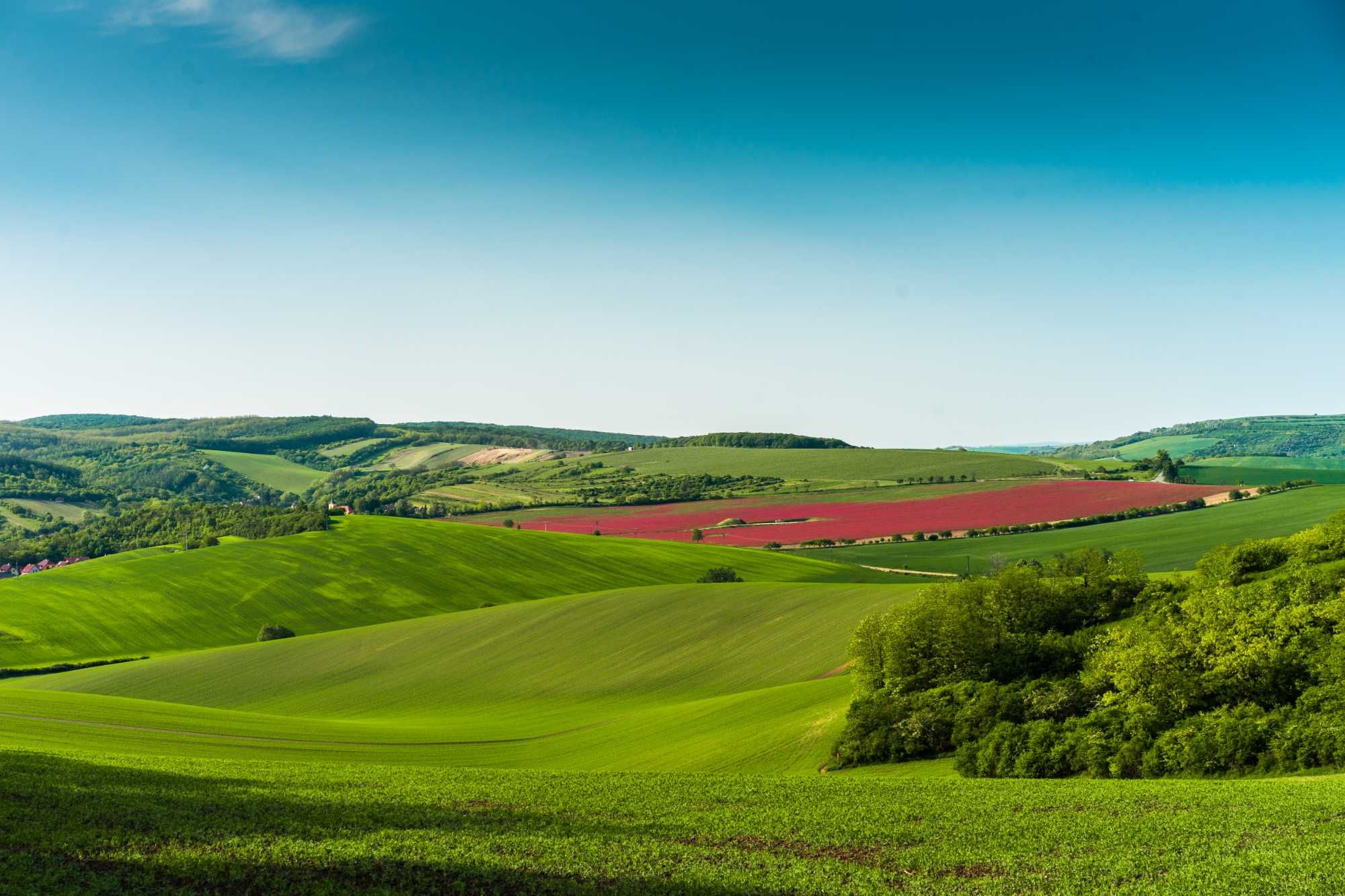 Badanie gruntu pod budowę domu oczyszczalnię geologiczne geotechniczne