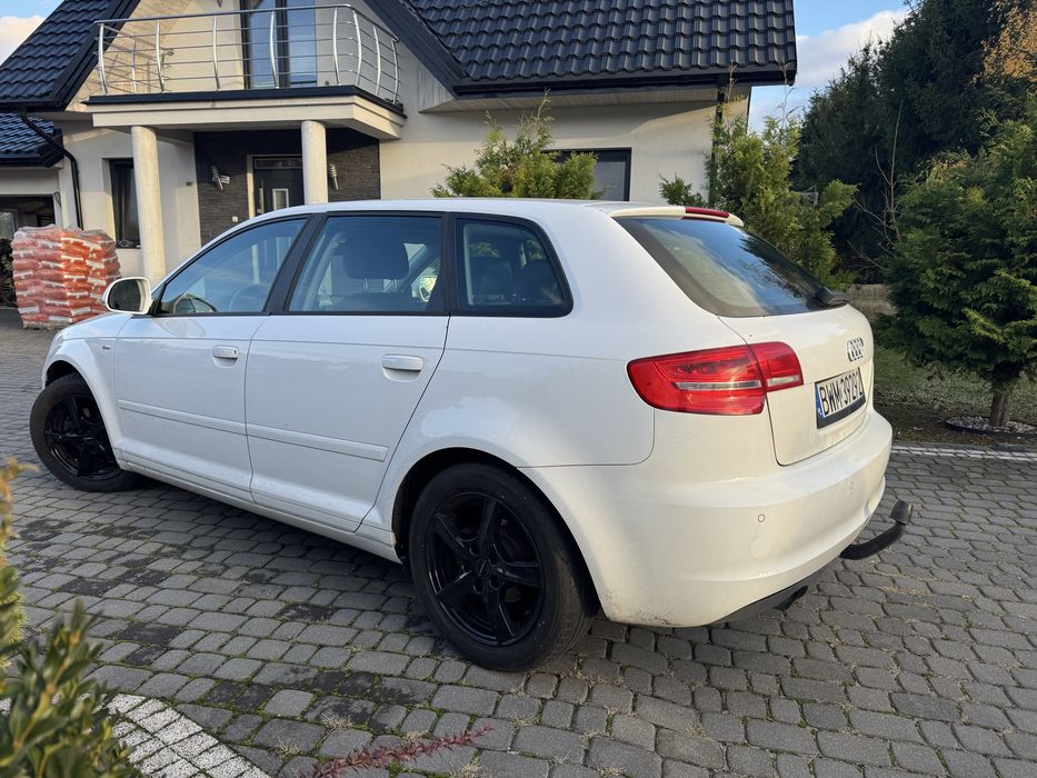 Audi A3 p8. 2010r. 1.6tdi skóra/alu/czyjniki/hak