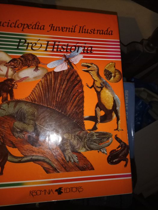 Enciclopédia juvenil ilustrada