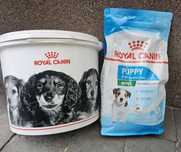 Karma 12 kg Royal canin mini puppy junior szczeniak maltipoo maltańczy