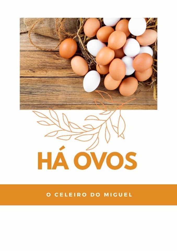 Ovos caseiros - Cacia