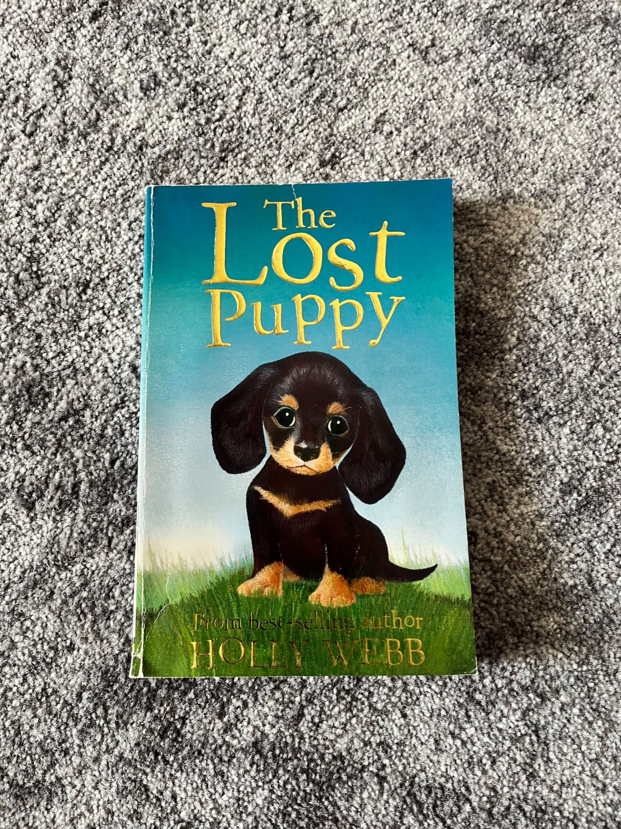 The lost puppy, książka w języku ang