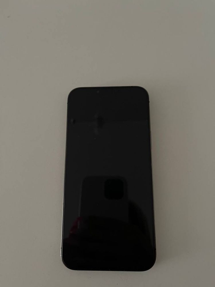 iPhone 13 pro max