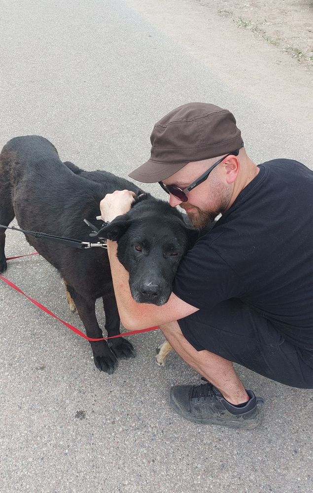 Przyjacielski Rodos poleca się do adopcji!