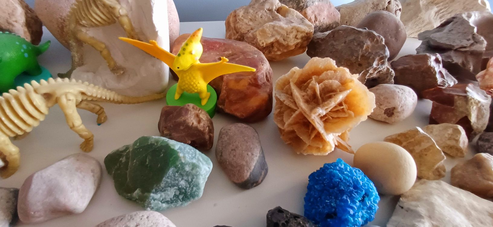 Kamienie szlachetne skamieliny amonit amonity minerały Jura Agat