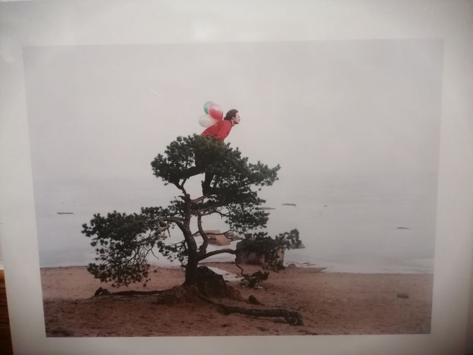 Fotografias Janne Lehtinen parte 3