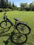 Rower Kross Trans L rozmiar 19”