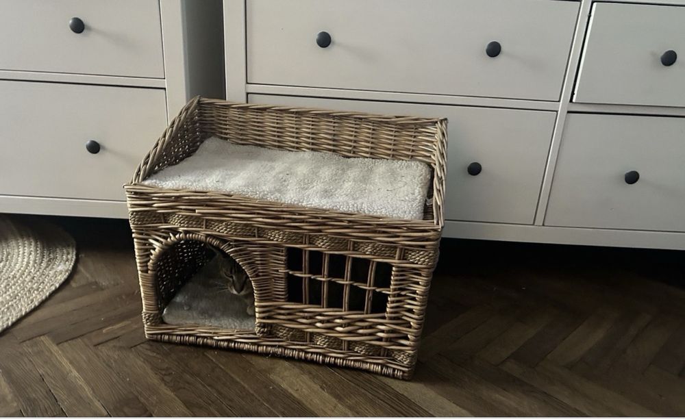 Maly Domek dla Kotka