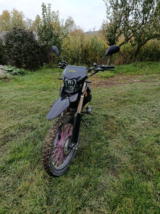 Продам шенерай 6ц